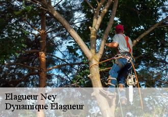 Elagueur  ney-39300 Johann Elagage 39