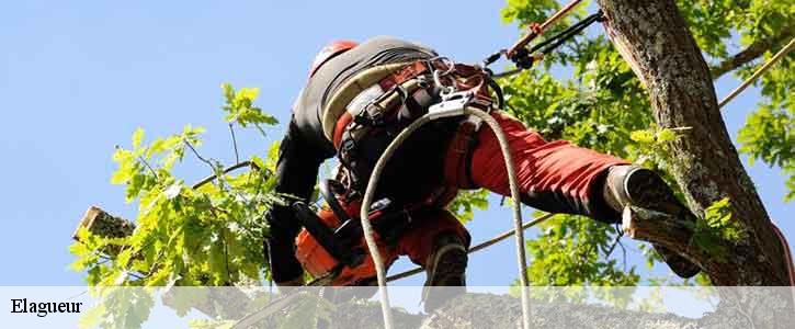 Elagueur  39800
