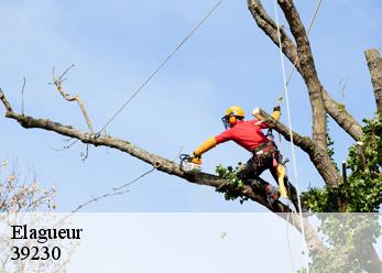 Elagueur 39230