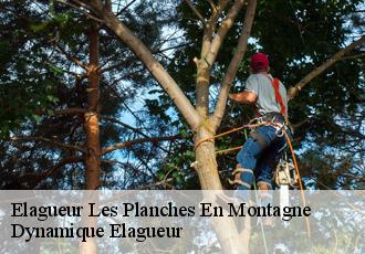 Elagueur  les-planches-en-montagne-39150 Dynamique Elagueur
