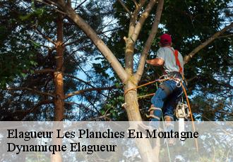 Elagueur les-planches-en-montagne-39150 Dynamique Elagueur