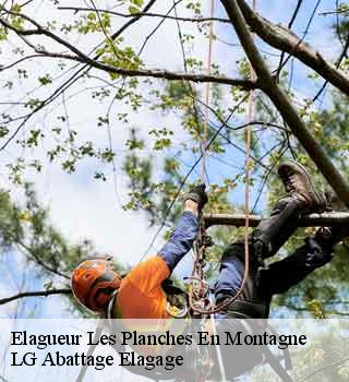 Elagueur les-planches-en-montagne-39150 LG Abattage Elagage