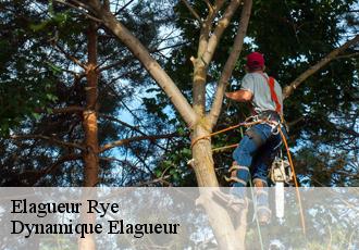 Elagueur  rye-39230 Johann Elagage 39