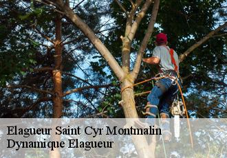 Elagueur  saint-cyr-montmalin-39600 Dynamique Elagueur