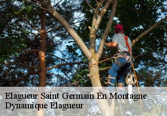 Elagueur  saint-germain-en-montagne-39300 Dynamique Elagueur