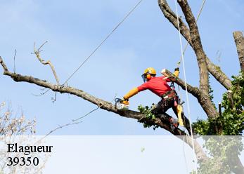 Elagueur 39350