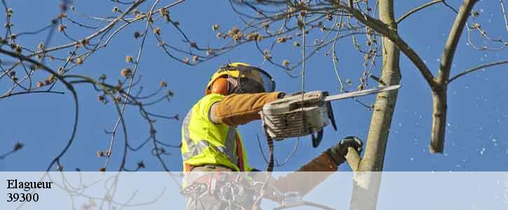 Elagueur  39300