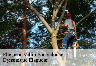 Elagueur  valfin-sur-valouse-39240 Johann Elagage 39