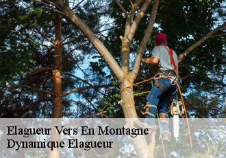 Elagueur  vers-en-montagne-39300 Johann Elagage 39