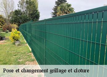 Pose et changement grillage et cloture 39170
