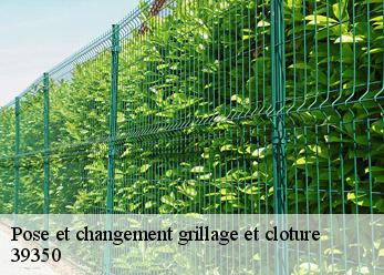 Pose et changement grillage et cloture 39350