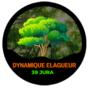 elagage-dynamique-elagueur