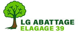 elagage-lg-abattage-elagage